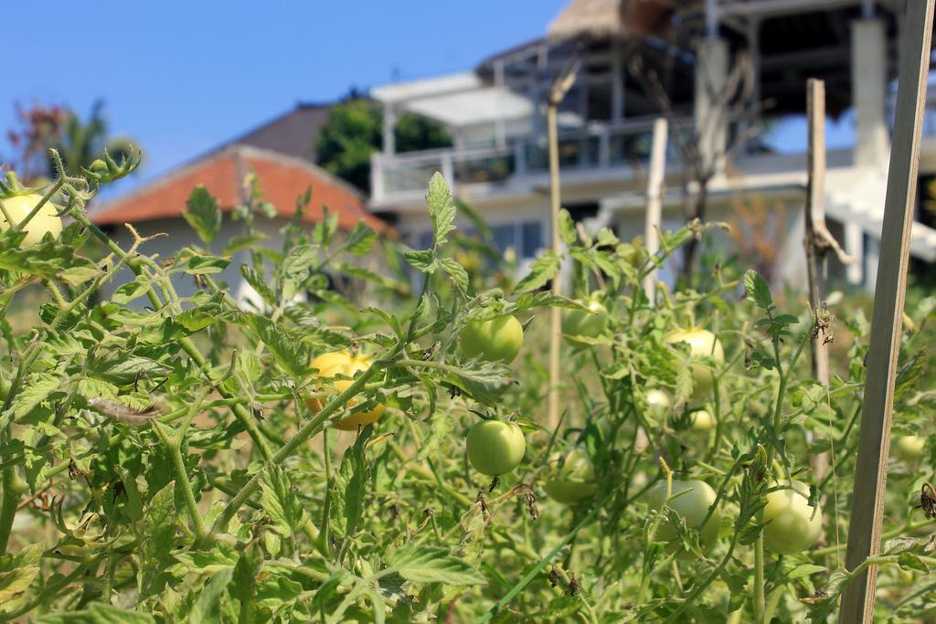 Barn N Bunk Hotel Payangan Zewnętrze zdjęcie